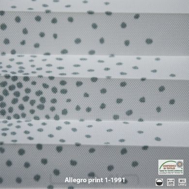 Штори плісе Аllegro print (2 варіанта кольору)