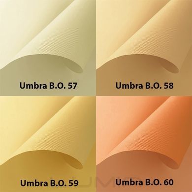 Рулонні штори Umbra B.O. (10 варіантів кольору)