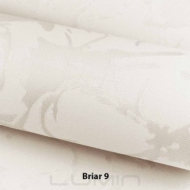 Рулонні штори Briar (3 варіанта кольору)