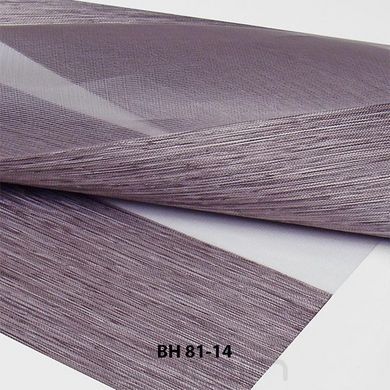 Рулонні штори День-Ніч BH 81 (7 варіантів кольору)