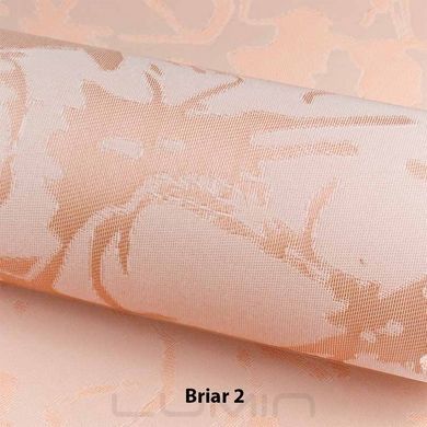 Рулонні штори Briar (3 варіанта кольору)