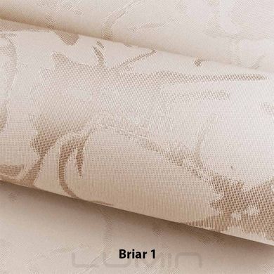Рулонні штори Briar (3 варіанта кольору)