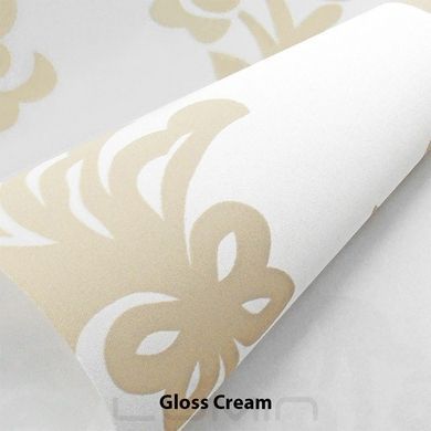 Рулонні штори Gloss (2 варіанта кольору)