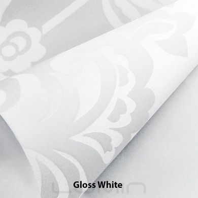 Рулонні штори Gloss (2 варіанта кольору)
