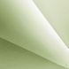 Рулонні штори Aqua Perl (3 варіанта кольору) Зелений (Seaweed)