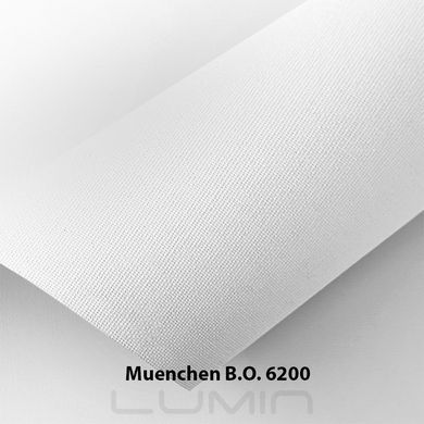 Рулонні штори Muenchen B.O. (3 варіанта кольору) 5001 Сірий